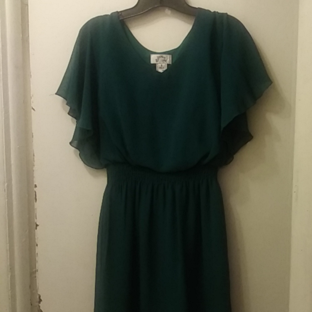 SWEET STORM sz small jade green 👗 dress